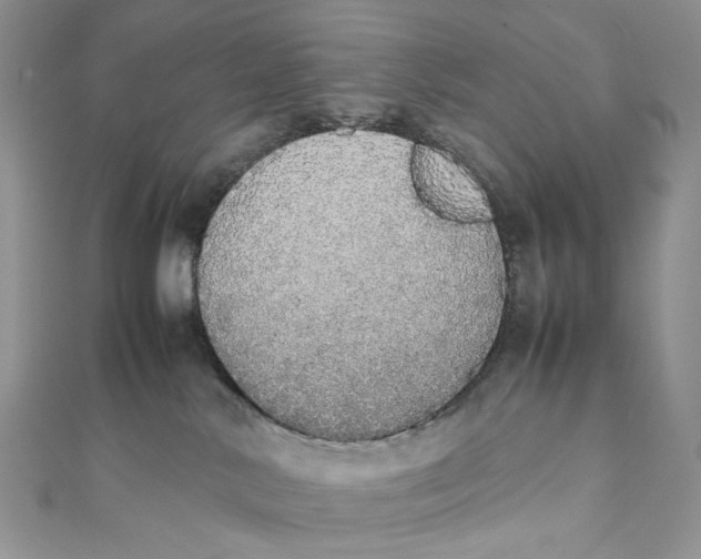X0000111450042200908031423