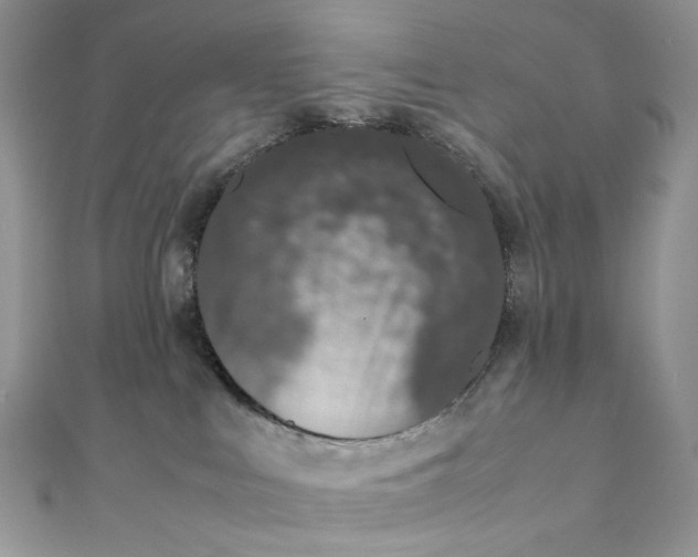 X0000111450043200908031423