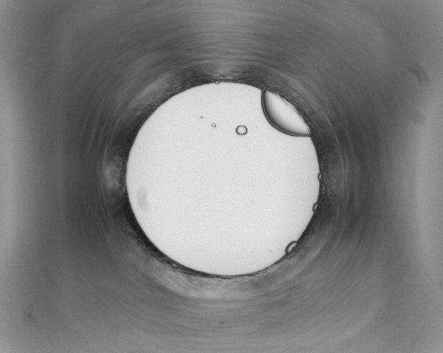 X0000111450044200908031423