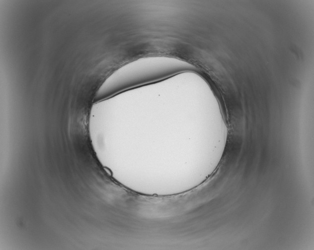 X0000111450045200908031423