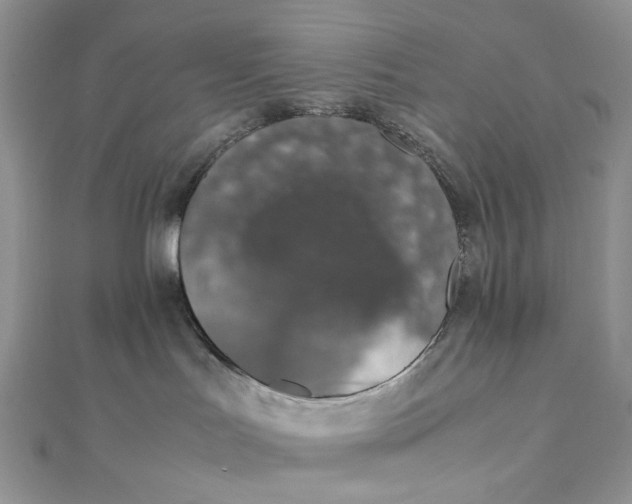 X0000111450047200908031423