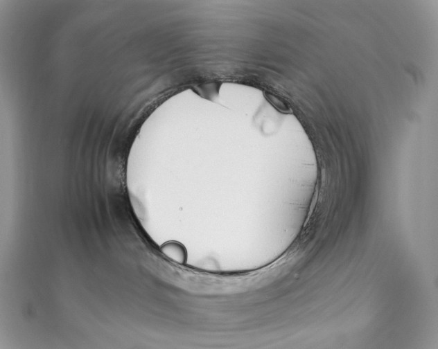X0000111450048200908031423