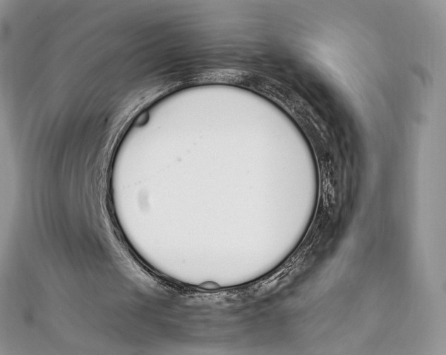 X0000111450049200908031422