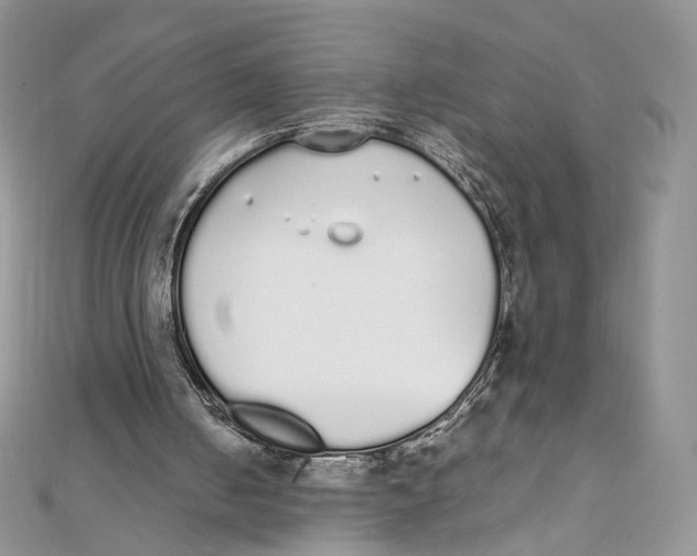 X0000111450050200908031422