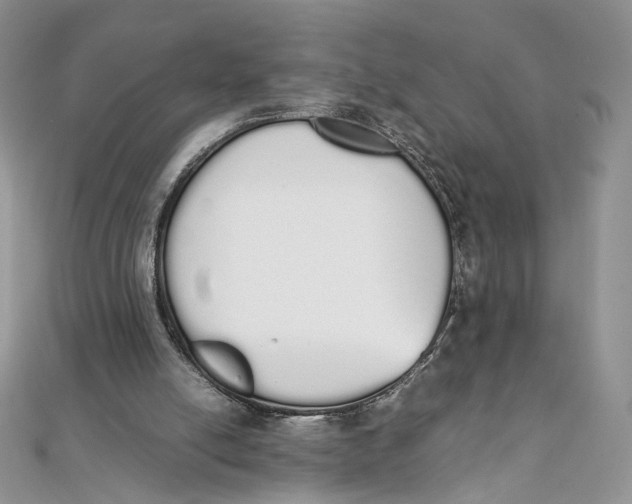 X0000111450054200908031422