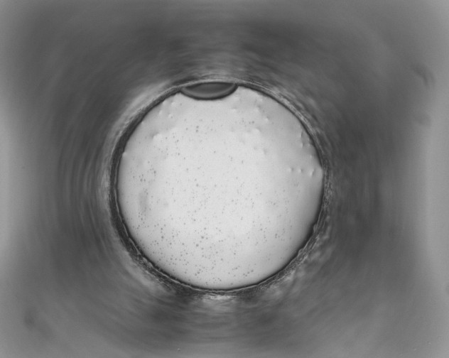 X0000111450055200908031422