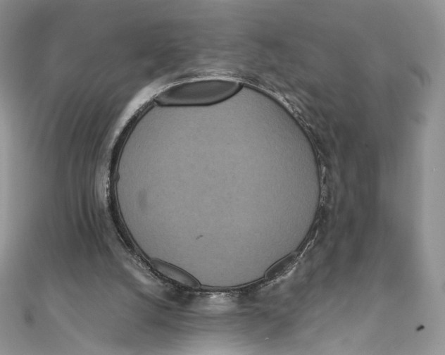 X0000111450056200908031422