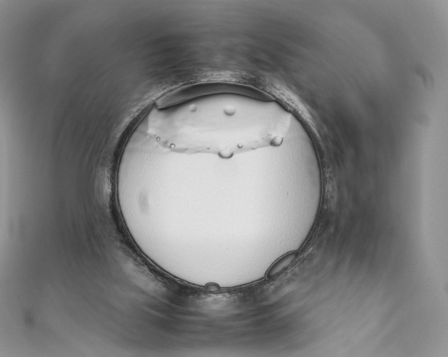 X0000111450059200908031422