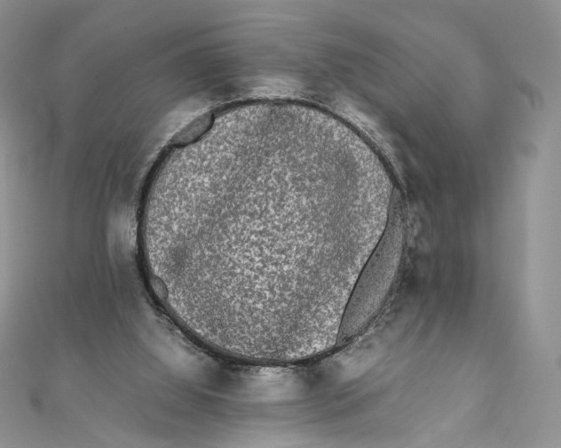 X0000111450060200908031422