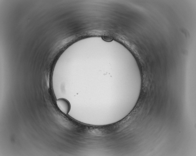 X0000111450062200908031422
