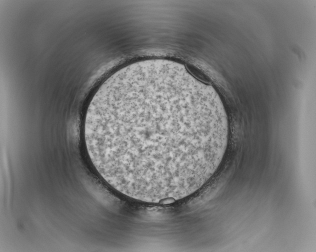 X0000111450064200908031422