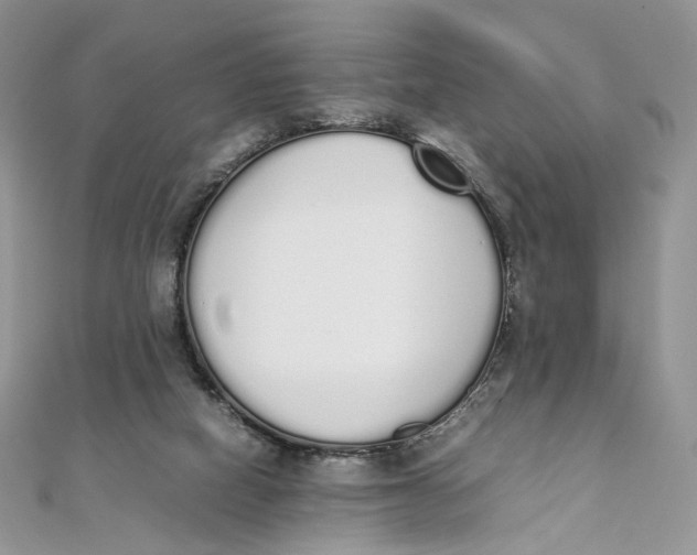 X0000111450066200908031422