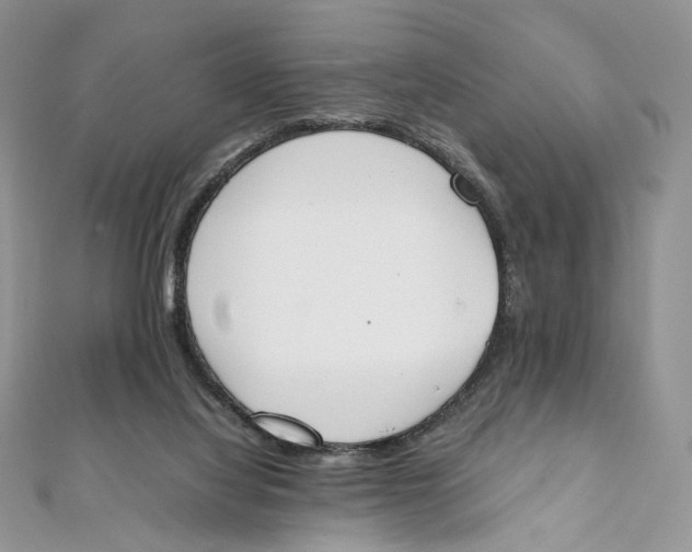 X0000111450068200908031422