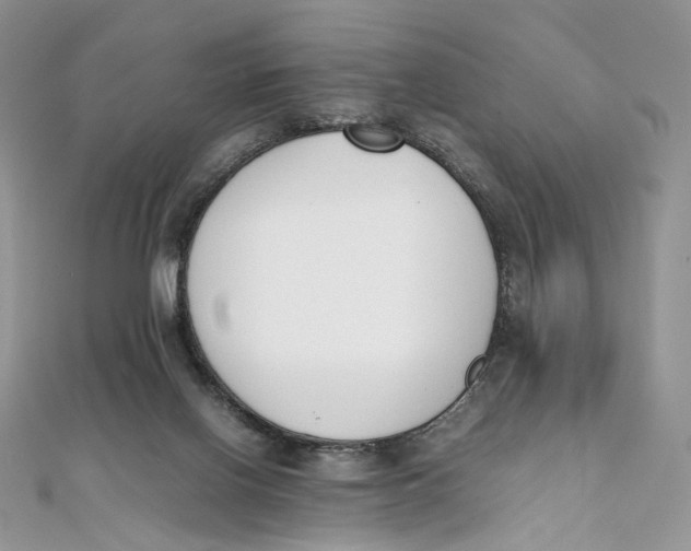 X0000111450070200908031422