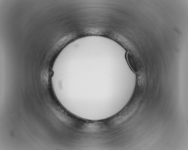 X0000111450072200908031422