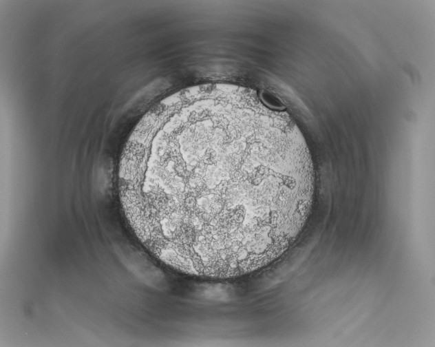 X0000111450073200908031422