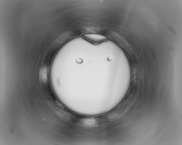 X0000111450075200908031422