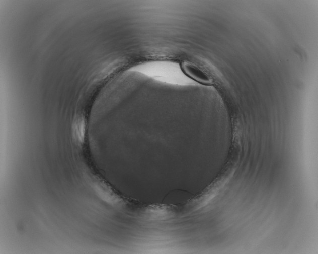 X0000111450076200908031422