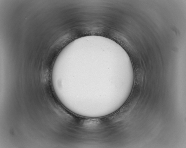 X0000111450077200908031422
