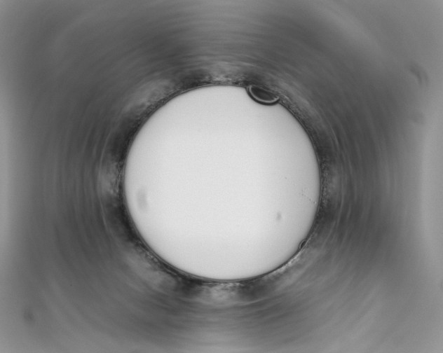 X0000111450078200908031422