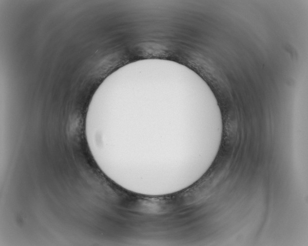 X0000111450079200908031422