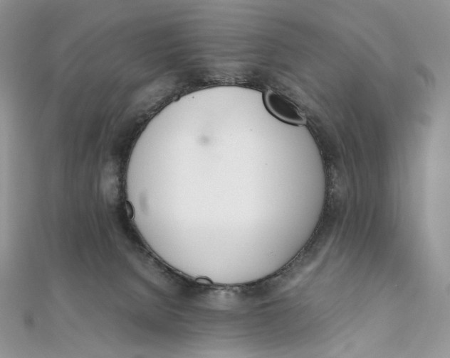X0000111450080200908031422