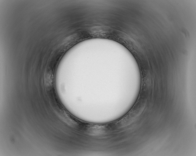 X0000111450081200908031422