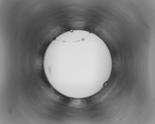 X0000111450083200908031422