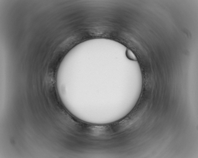X0000111450085200908031422