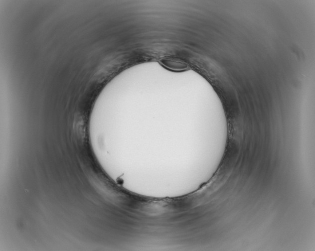X0000111450086200908031422