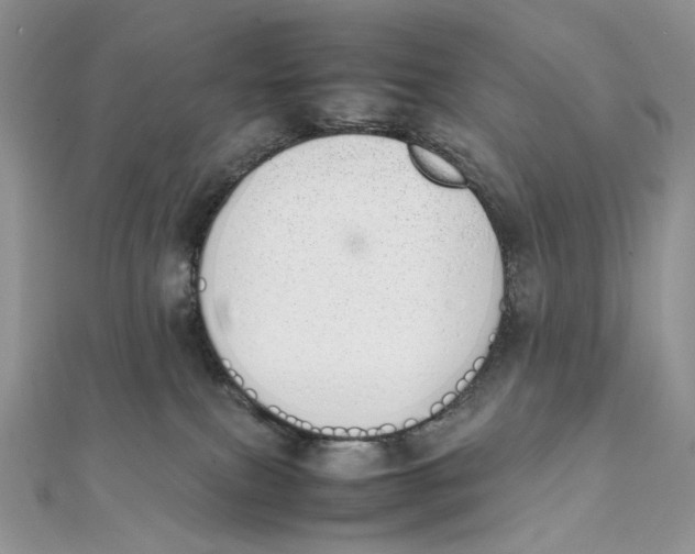 X0000111450087200908031422