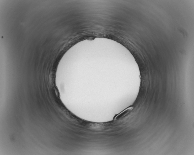 X0000111450088200908031422