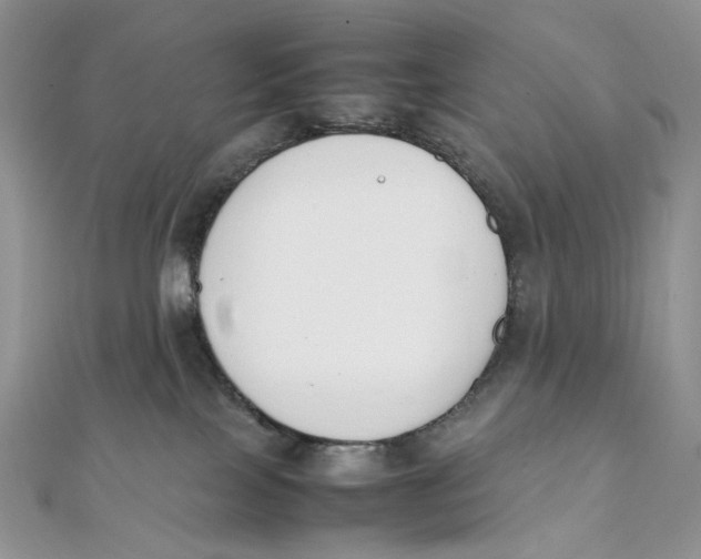 X0000111450089200908031422