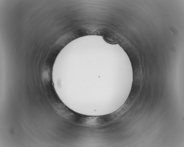 X0000111450090200908031422