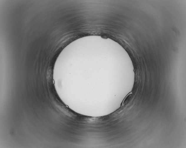 X0000111450092200908031422