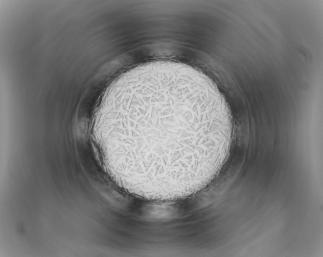 X0000111450093200908031422