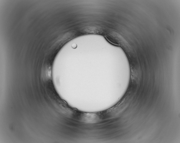 X0000111450095200908031422