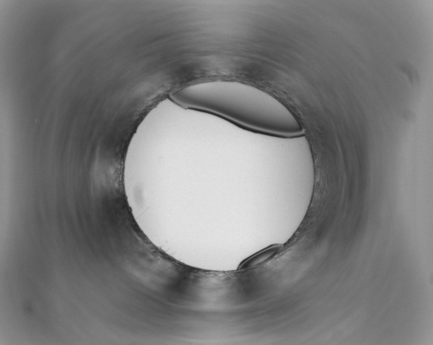 X0000111450096200908031423