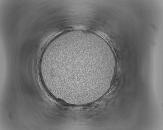 X0000111450097200908031422