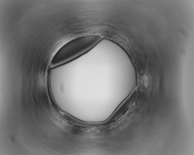 X0000111450100200908031422
