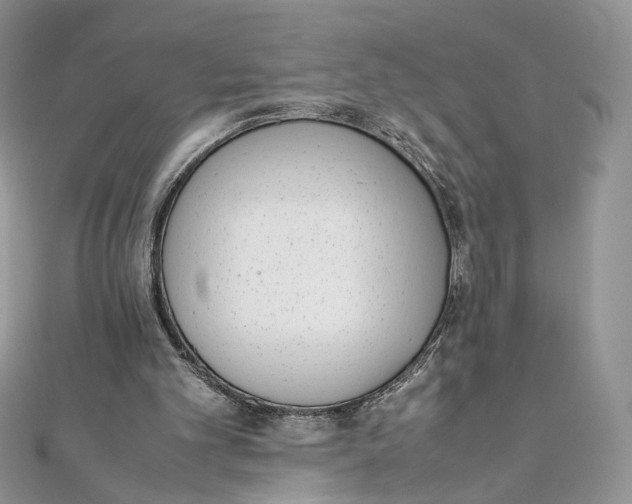 X0000111450101200908031422