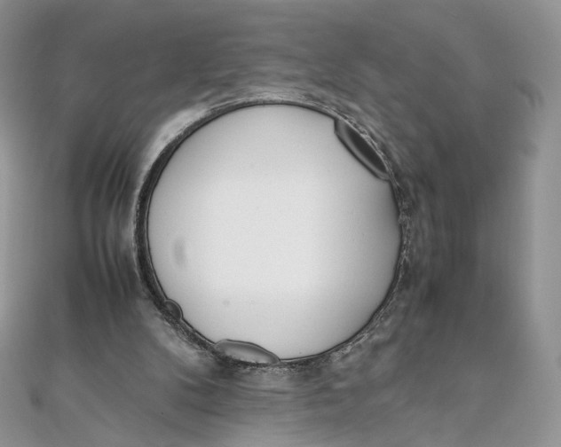X0000111450104200908031422