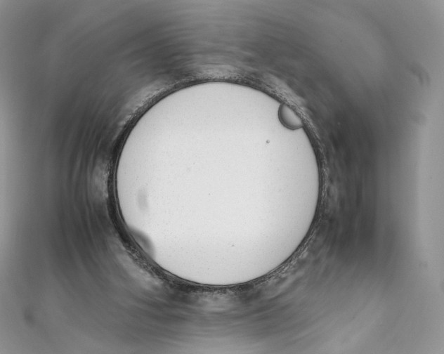 X0000111450106200908031422