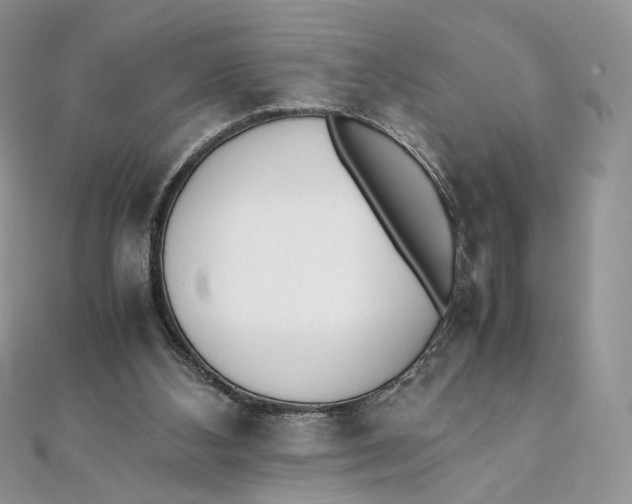 X0000111450108200908031422