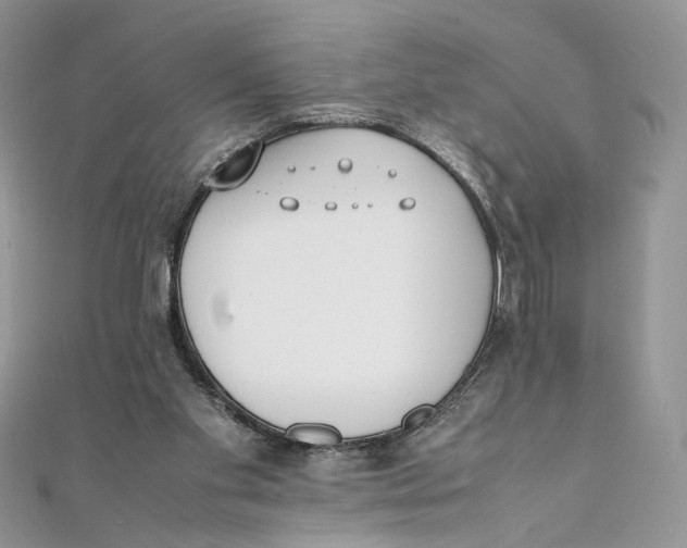 X0000111450109200908031422