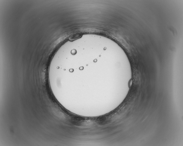 X0000111450111200908031422