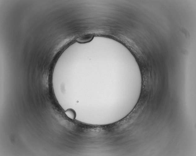X0000111450112200908031422