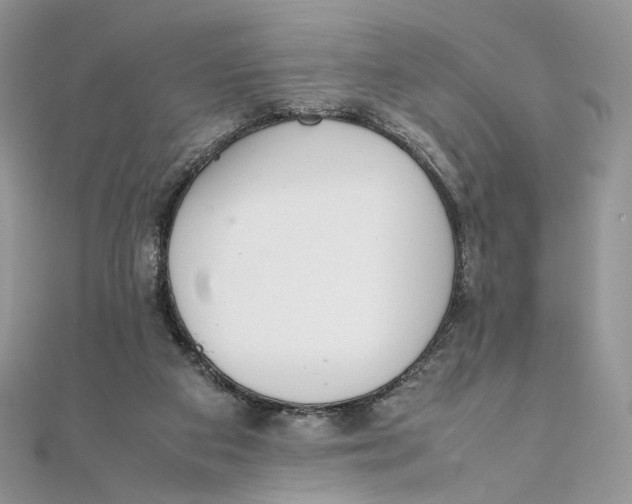 X0000111450113200908031422