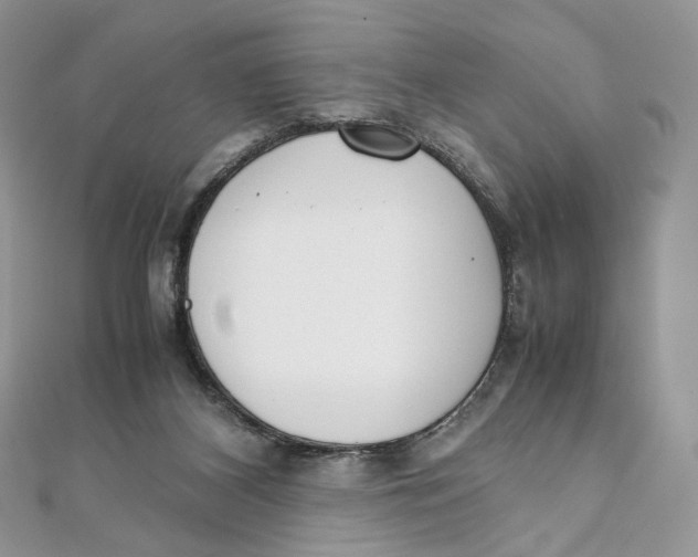 X0000111450116200908031422