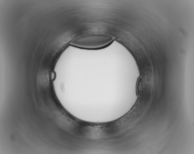 X0000111450120200908031422